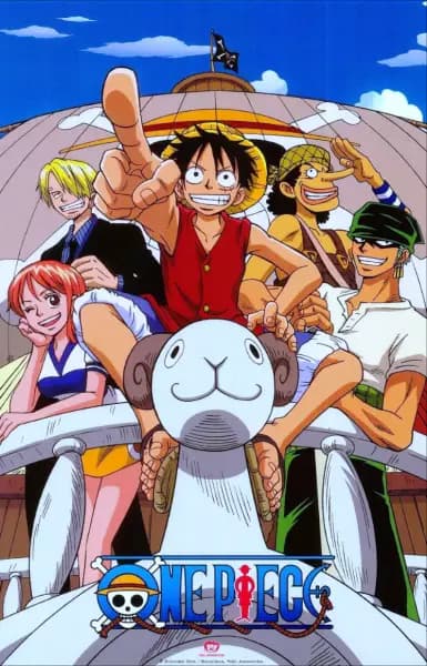 One Piece cover